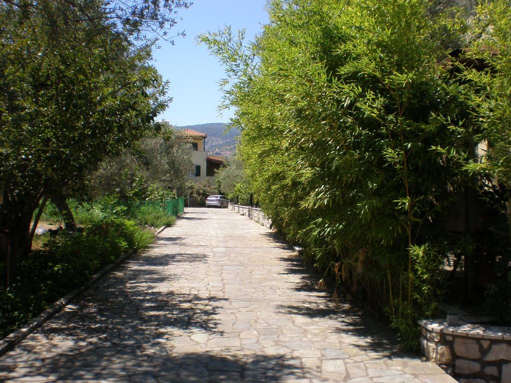Vasiliki Studios Petra  Exterior foto