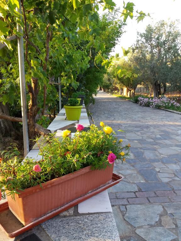 Vasiliki Studios Petra  Exterior foto